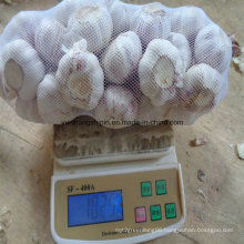Fresh Garlic Price 2016 New Crop 1kg Small Packing